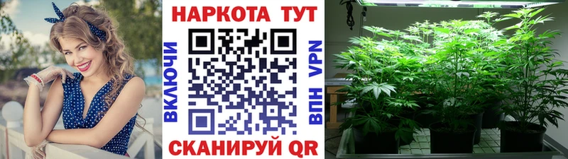 Купить Бутират  Мефедрон  Гашиш  COCAIN  Козловка