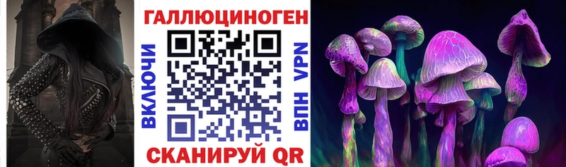 Купить закладки  Козловка  Псилоцибиновые грибы Psilocybine cubensis 
